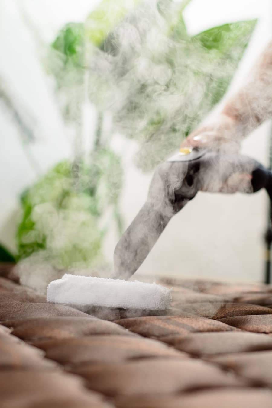 Vapor saturado sobre tapizado